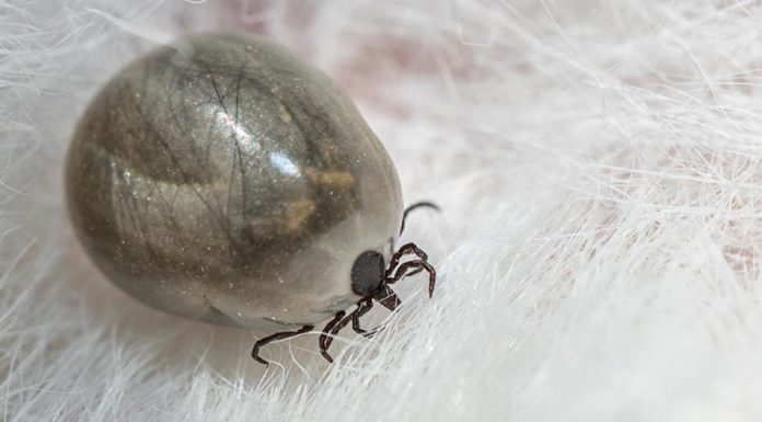 How do you know what size kimono to get? How do you know what size kimono to get?