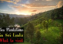 How do you say mother in Sri Lanka? How do you say mother in Sri Lanka?