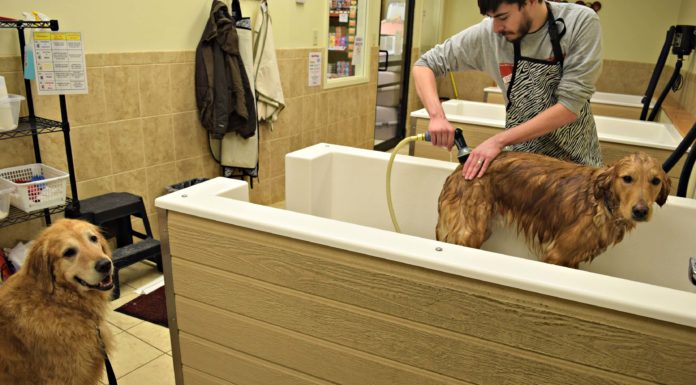 How do you use a self-service launderette? How do you use a self-service launderette?