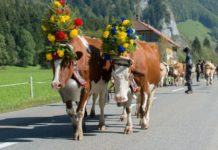 How far is Gruyere from Zurich? How far is Gruyere from Zurich?