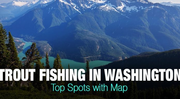 How fast do WA State ferries go? How fast do WA State ferries go?