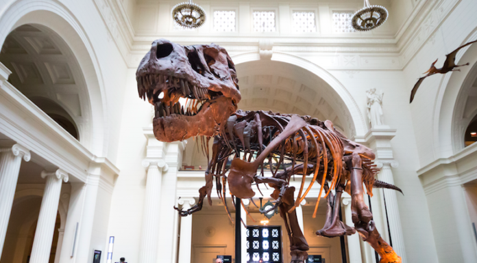 How long do people spend at the Science Museum? How long do people spend at the Science Museum?