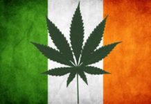 How long does it take to get through security at Dallas Fort Worth Airport? How long does it take to get through security at Dallas Fort Worth Airport?