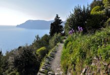 How long does it take to walk the 5 villages of Cinque Terre? How long does it take to walk the 5 villages of Cinque Terre?