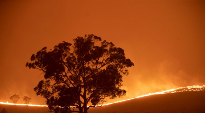 How long is EMS? How long is EMS?