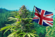 How many bags can you check on Swiss Air? How many bags can you check on Swiss Air?