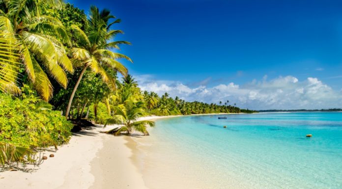 How many beaches are there in Costa del Sol? How many beaches are there in Costa del Sol?