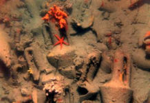 How many bodies are found in the Thames in a year? How many bodies are found in the Thames in a year?