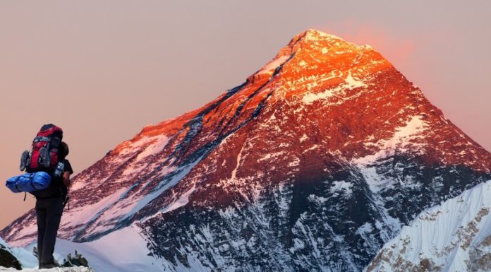 How many bodies are on Denali? How many bodies are on Denali?