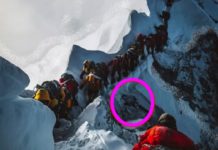 How many bodies are on Mt Rainier? How many bodies are on Mt Rainier?