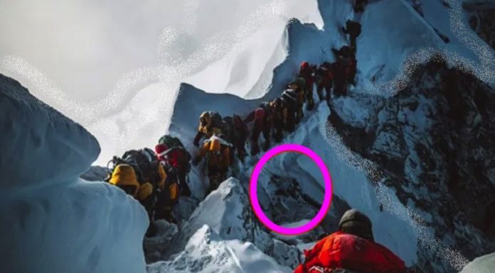 How many bodies are on Mt Rainier? How many bodies are on Mt Rainier?