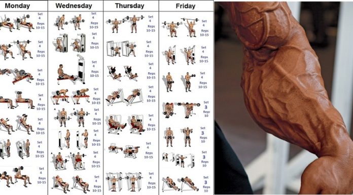 How many days do you need in Avignon? How many days do you need in Avignon?