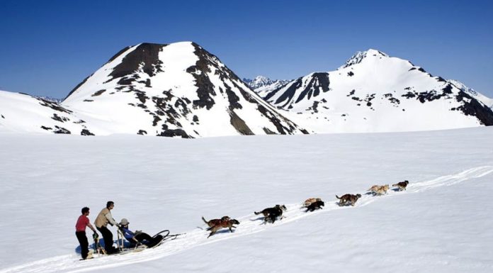 How many days do you need in Palenque? How many days do you need in Palenque?