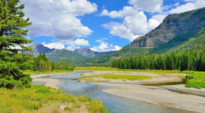 How many days do you need in Yellowstone? How many days do you need in Yellowstone?