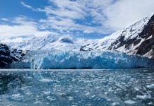 How many days do you need in the Everglades? How many days do you need in the Everglades?