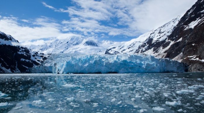 How many days do you need in the Everglades? How many days do you need in the Everglades?