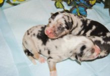 How many days in Luxor is enough? How many days in Luxor is enough?