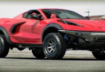 How many days should you spend in Galapagos? How many days should you spend in Galapagos?