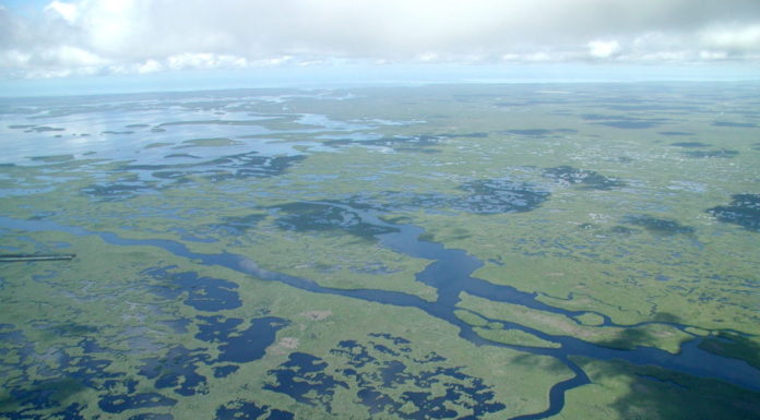 How many days should you spend in Sequoia National Park? How many days should you spend in Sequoia National Park?