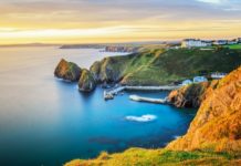 How many farms are in Cornwall? How many farms are in Cornwall?