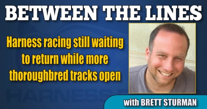 How many greyhound tracks are still open in Florida?