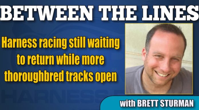 How many greyhound tracks are still open in Florida? How many greyhound tracks are still open in Florida?