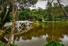 How many wards are there in Manjeri? How many wards are there in Manjeri?