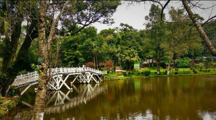 How many wards are there in Manjeri? How many wards are there in Manjeri?