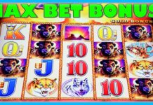 How much can you win on Buffalo slot machine? How much can you win on Buffalo slot machine?