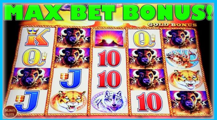 How much can you win on Buffalo slot machine? How much can you win on Buffalo slot machine?