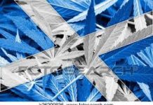 How much did Jason Aldean’s bar cost? How much did Jason Aldean's bar cost?