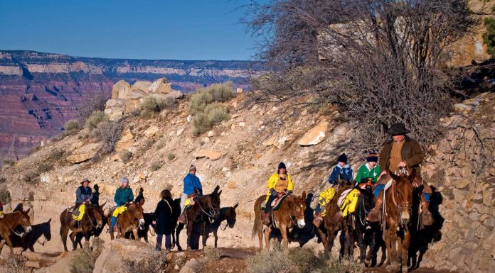 How much does a Grand Canyon rafting trip cost? How much does a Grand Canyon rafting trip cost?