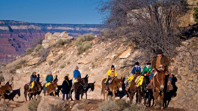 How much does a Grand Canyon rafting trip cost?