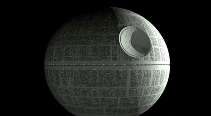 How much does a lion cost? How much does a lion cost?