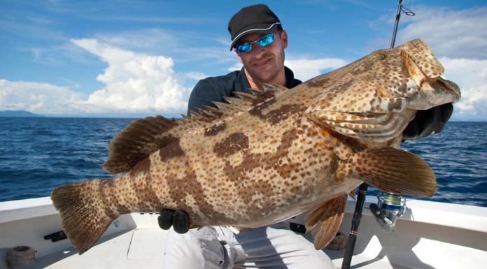 How much does it cost to deep sea fish in Florida? How much does it cost to deep sea fish in Florida?
