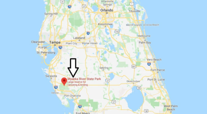 How much does it cost to get into Dinosaur State Park? How much does it cost to get into Dinosaur State Park?