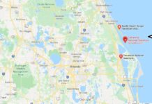 How much does it cost to get into the Sequoia National Park? How much does it cost to get into the Sequoia National Park?