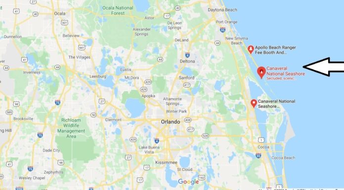 How much does it cost to get into the Sequoia National Park? How much does it cost to get into the Sequoia National Park?