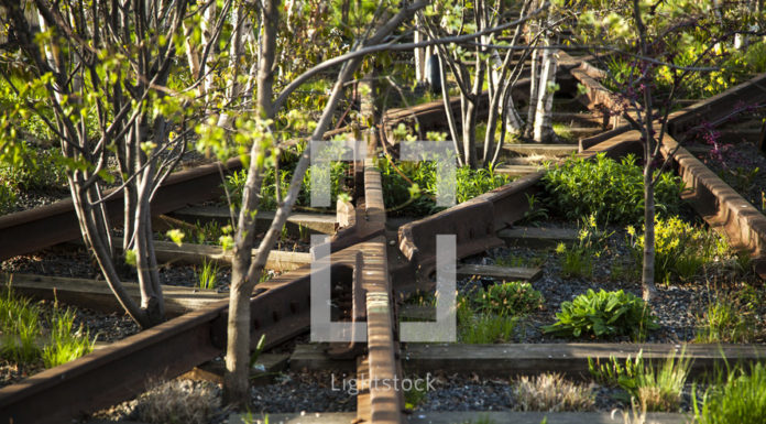 How much does it cost to go through Callaway Gardens? How much does it cost to go through Callaway Gardens?