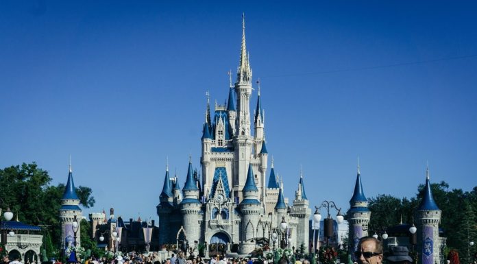 How much does it cost to go to Neuschwanstein Castle? How much does it cost to go to Neuschwanstein Castle?