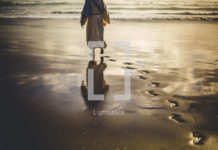 How much does it cost to go to Whitehaven Beach? How much does it cost to go to Whitehaven Beach?