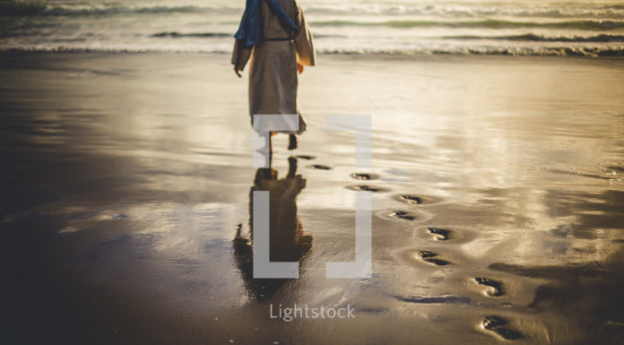 How much does it cost to go to Whitehaven Beach? How much does it cost to go to Whitehaven Beach?