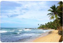 How much does it cost to skydive in Sri Lanka? How much does it cost to skydive in Sri Lanka?