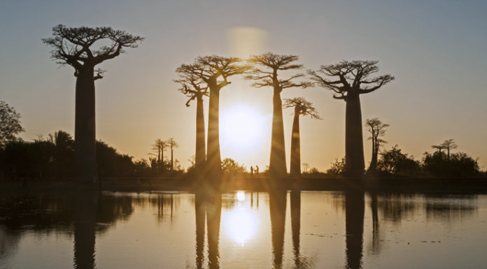 How much does it cost to travel from Kenya to USA by plane? How much does it cost to travel from Kenya to USA by plane?