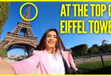 How much does it cost to zipline off the Eiffel Tower? How much does it cost to zipline off the Eiffel Tower?