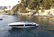 How much does the ferry cost from Naples to Capri? How much does the ferry cost from Naples to Capri?
