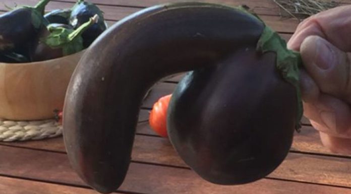 How much is Intrepid Travel worth? How much is Intrepid Travel worth?