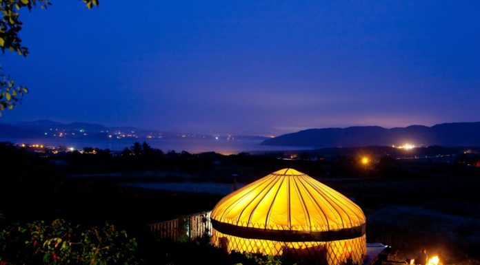 How much is a Coke in Ireland? How much is a Coke in Ireland?