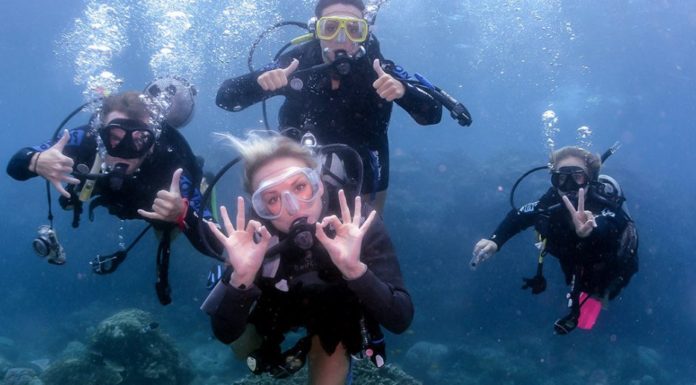 How much is a PADI course in Thailand? How much is a PADI course in Thailand?