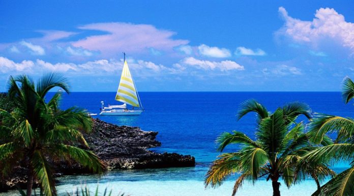 How much is a charter from Miami to Bahamas? How much is a charter from Miami to Bahamas?